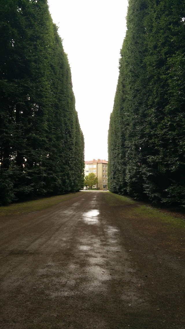 Pildammsparken utegym