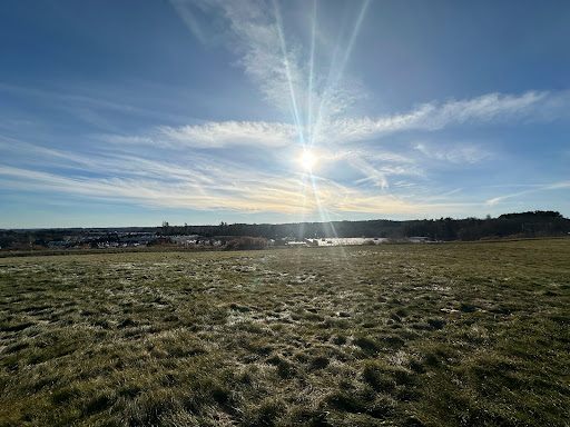 Lakeview Fields - Visual