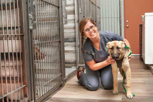Salt River Veterinary Clinic Gallery - United States