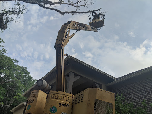 Gillis Tree Service - Thumbnail