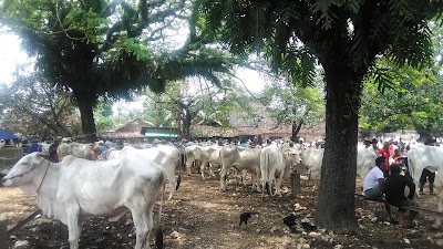 Photos of PASAR SAPI PAMOTAN