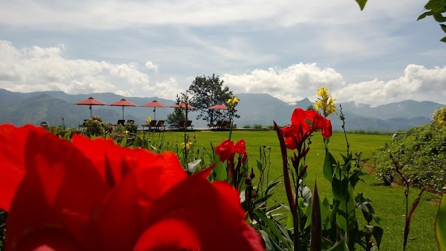 Madulkelle Tea and Eco Lodge