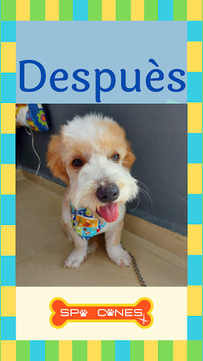 Veterinaria y Estética Canina Spa Canes