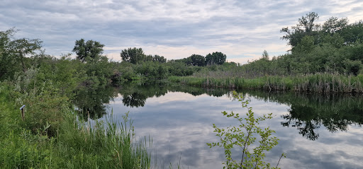 Silverland Camp - Visual