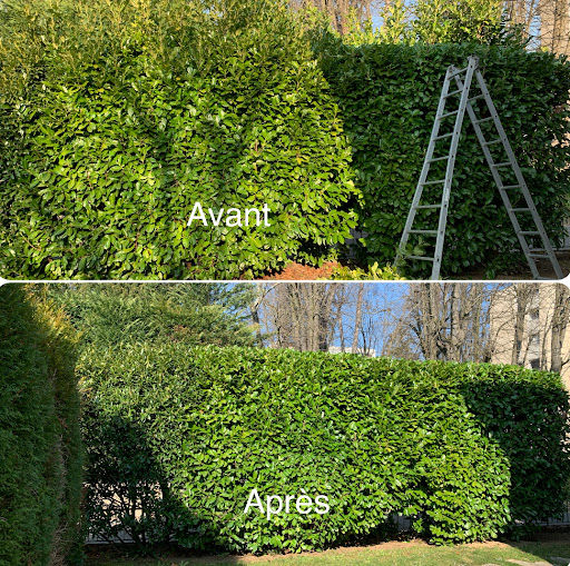 Photo de Jacquet Patrick à Saint-Martin-Belle-Roche (71118)