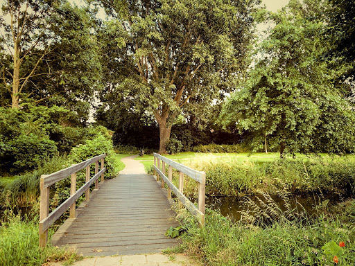 Park De Nieuwe IJsbaan - Thumbnail