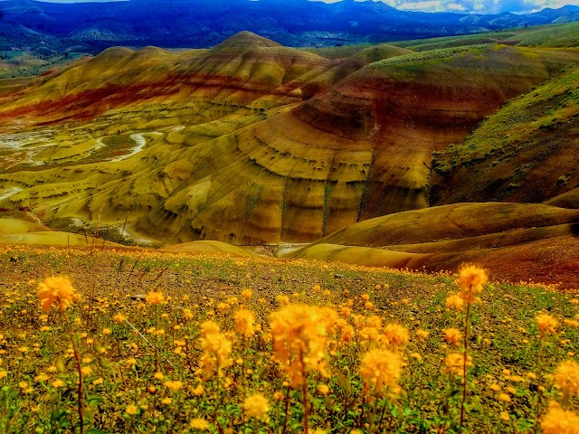 John Day Fossil Beds National Monument