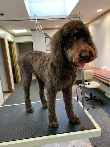 Three Paws Salon and Spa Gallery - United States