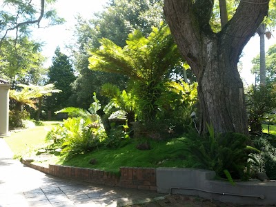 Photos of Bali Blasa Guest House