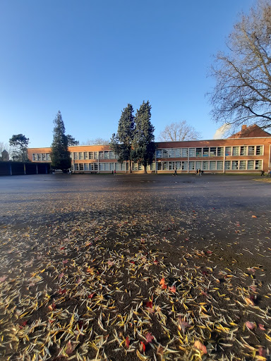 Elementary School Application Trulin-Samain - Thumbnail