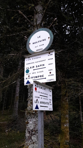 Waldparkplatz Gallery - France