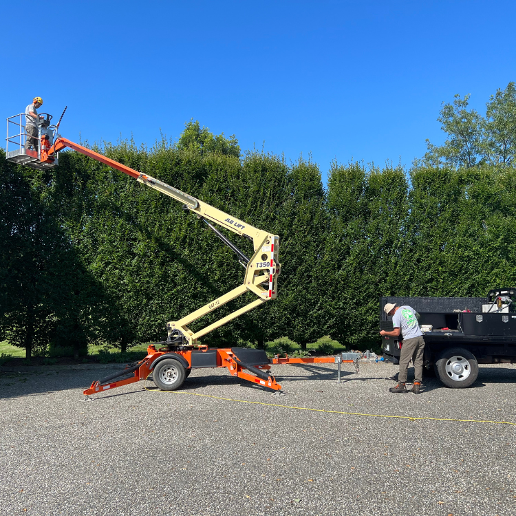 Hill Treekeepers