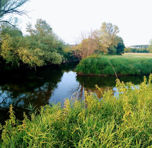 Rivermouth Schwarzbach Blies - Thumbnail