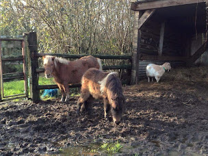 Photo n°31 de L'abri cotier à Saint-Gildas-de-Rhuys (Camping à la ferme)