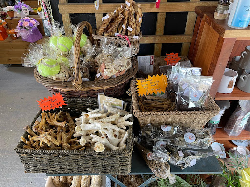 Daisy's Doggy Hampers - Thumbnail