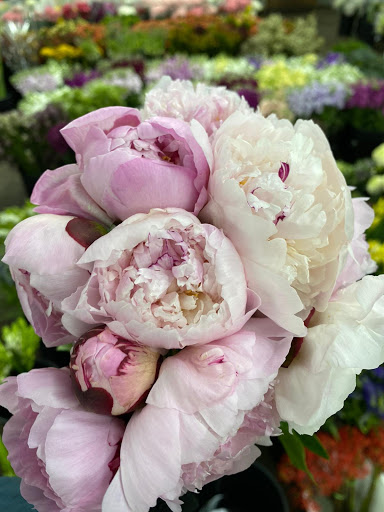 Berkeley Florist Supply - Thumbnail