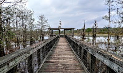 The Iatt Lake Observation Pier