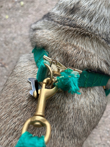 Dogsnug - Visual