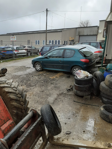 Auto 61 - Visual