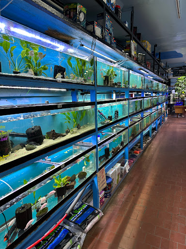 Pacific Aquarium & Plant - Thumbnail