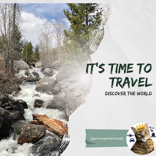 Prince Peter Travels Logo