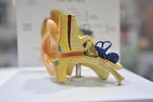 Photo n°8 de AUDITION NEUVILLE à Neuville-sur-Saône (Magasin d'appareils auditifs)