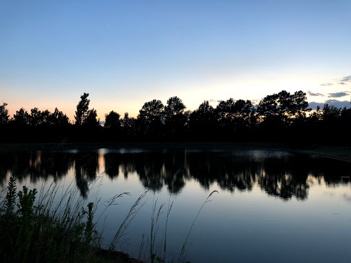 Broach Park - Visual