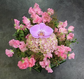 Photo n°34 de Gilles Sonnet | Fleuriste Fontaine-lès-Dijon à Fontaine-lès-Dijon (Service de plantes d'intérieur)