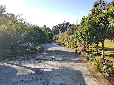 Photos of Villas Tramonti