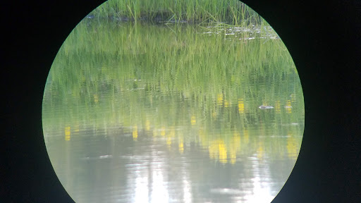 Musselshell Meadows - Visual