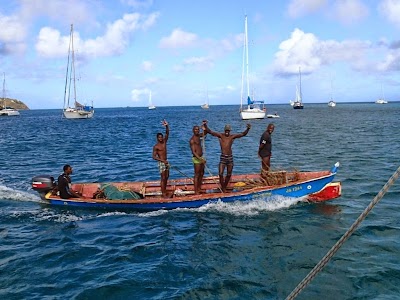 Photos of 7 Days In The Sun St. Lucia Tours
