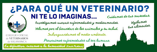 Colegio Oficial de Veterinarios