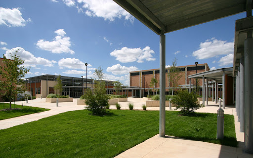 Dillard McCollum High School Logo