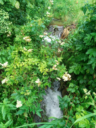 Barockgarten Egloffstein Manfred Ritter - Thumbnail