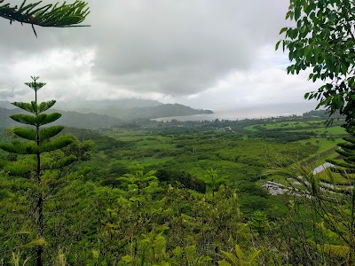 Okolehao Hiking Trailhead