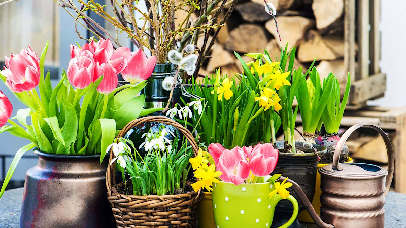 Flowers Femers GmbH & Co. KG photo