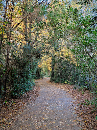 Mason Pond Park - Thumbnail