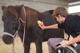 Photo n°2 de Olivetti-Ciry à Montceaux (Psychologue)