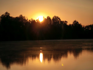 Photo n°1 de Atypique Nature & Solidaire à Châtenay-sur-Seine (Association ou organisation)