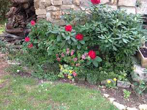 Photo n°3 de CD Jardin et Multi-services à Marcoussis (Paysagiste)