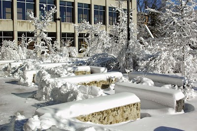 Ivy College of Business