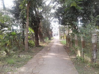 Photos of BTCL (Bangladesh Telecommunications Company Limited) Habiganj