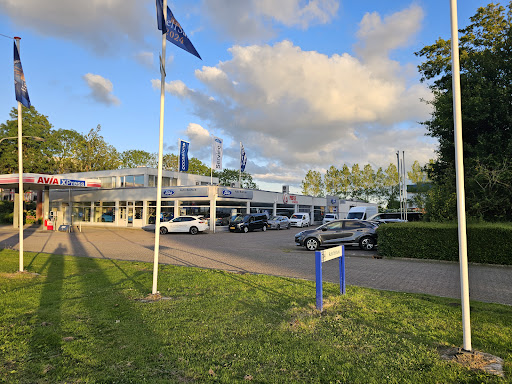 Profile Delfzijl - Thumbnail