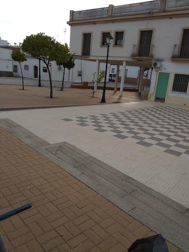 Pino de La Vía - Thumbnail