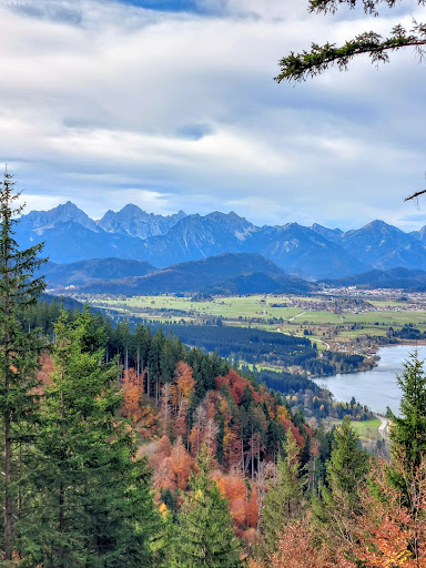 Dampfersteg - Visual