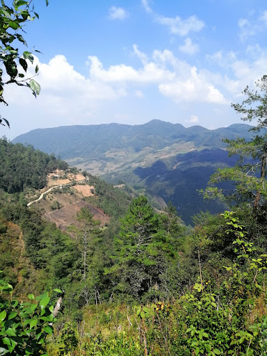 Peña leon