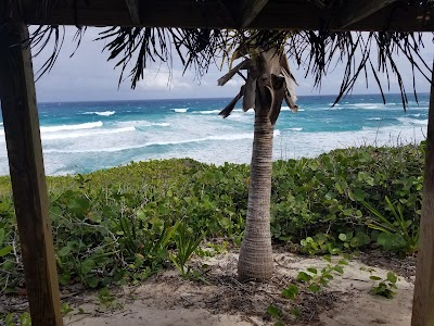 Photos of Ocean Blvd, Surfers Beach