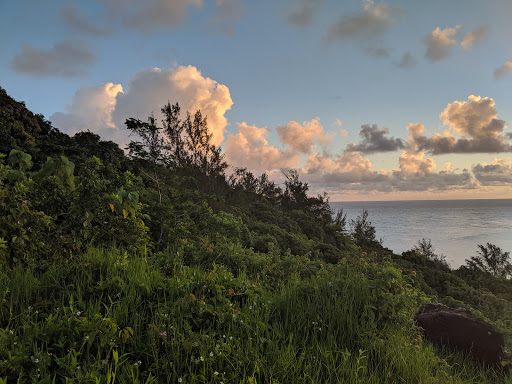 Trail head to Wyllie's Beach Gallery - United States