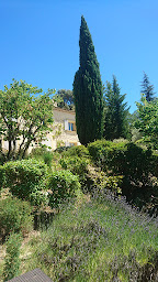 Photo n°8 de Villaume Florian à Cadenet (Paysagiste)