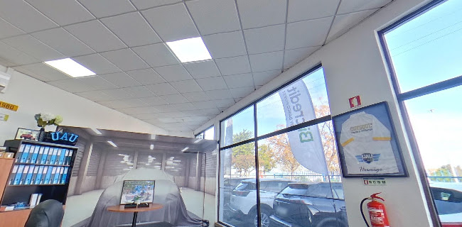 UAU Car, Lda Horário de abertura
